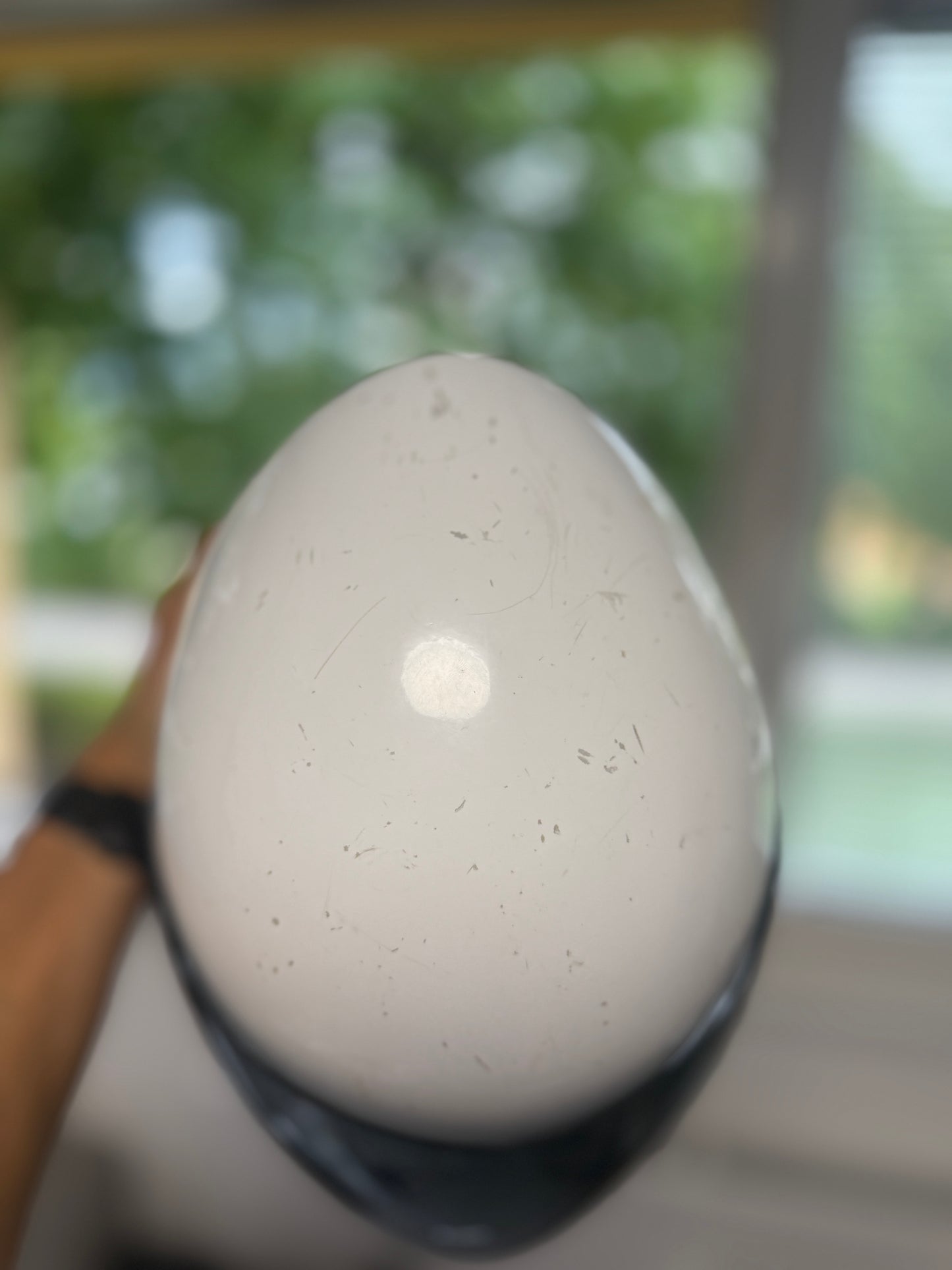 Charly No Limit White size M-57